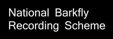 National Barkfly Recording Scheme